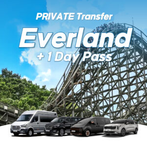 Private Transfer : Everland Round Transfer + 1 Day Pass