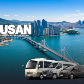 Pre-Set Tour : 1 Day Private Busan Tour