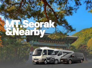 MT.Seorak/Naksansa Temple/Sokcho 1DAY Charter TOUR