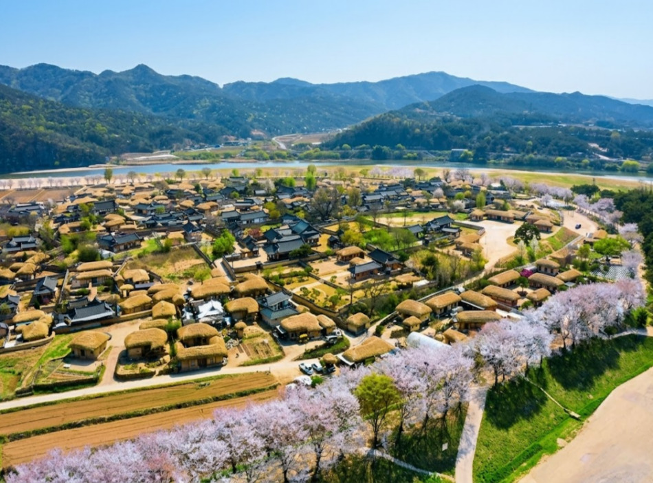 9 Days Charter : Seoul, Nami island, MT.Seorak, Andong, Gyeongju, Busan & Jeju Island - Image 4