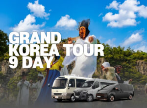 9 Days Charter : Seoul, Nami island, MT.Seorak, Andong, Gyeongju, Busan & Jeju Island